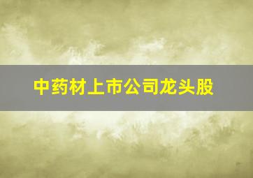 中药材上市公司龙头股