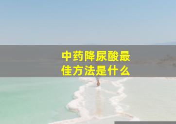 中药降尿酸最佳方法是什么