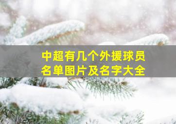 中超有几个外援球员名单图片及名字大全