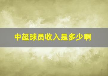 中超球员收入是多少啊