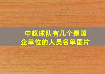 中超球队有几个是国企单位的人员名单图片