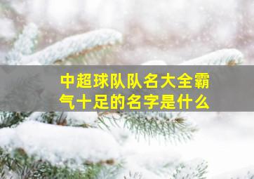 中超球队队名大全霸气十足的名字是什么