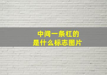 中间一条杠的是什么标志图片