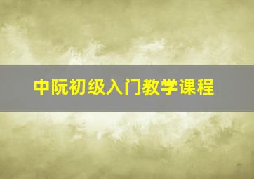 中阮初级入门教学课程