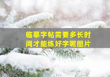 临摹字帖需要多长时间才能练好字呢图片