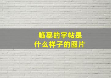 临摹的字帖是什么样子的图片