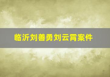 临沂刘善勇刘云霄案件