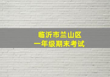 临沂市兰山区一年级期末考试