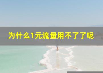 为什么1元流量用不了了呢