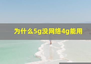 为什么5g没网络4g能用