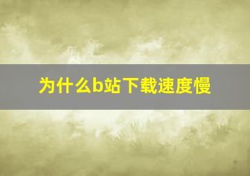 为什么b站下载速度慢