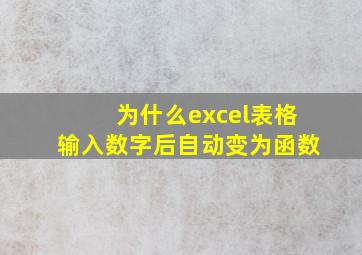 为什么excel表格输入数字后自动变为函数