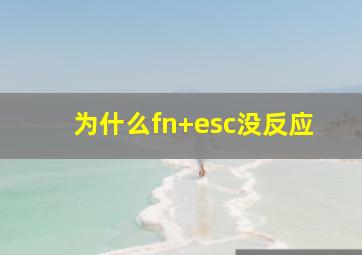 为什么fn+esc没反应