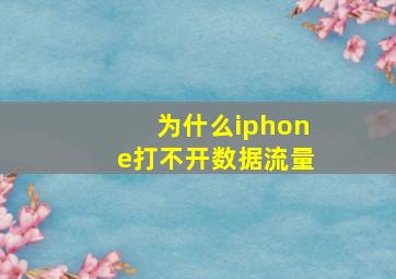 为什么iphone打不开数据流量