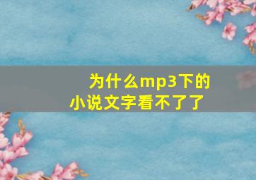 为什么mp3下的小说文字看不了了