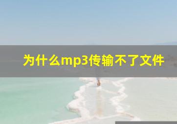 为什么mp3传输不了文件