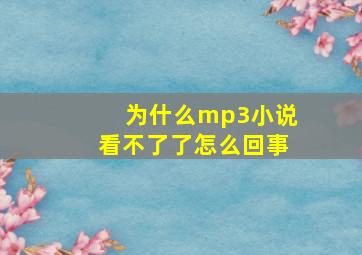 为什么mp3小说看不了了怎么回事