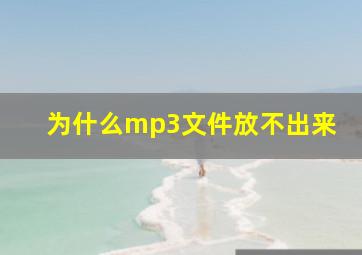 为什么mp3文件放不出来