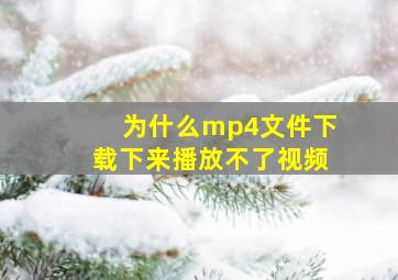 为什么mp4文件下载下来播放不了视频