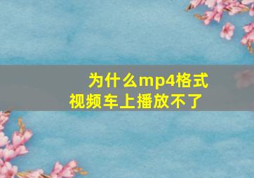 为什么mp4格式视频车上播放不了