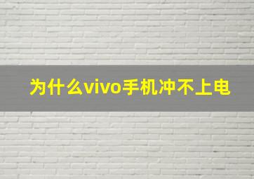 为什么vivo手机冲不上电