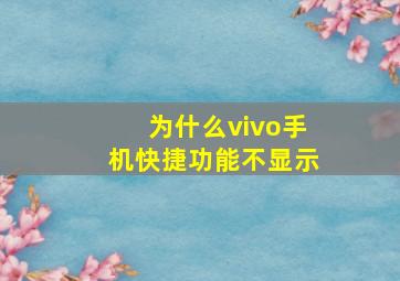 为什么vivo手机快捷功能不显示