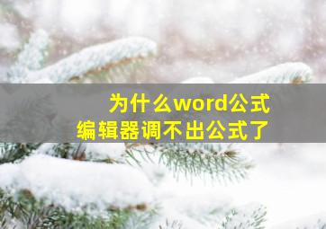 为什么word公式编辑器调不出公式了