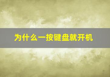 为什么一按键盘就开机