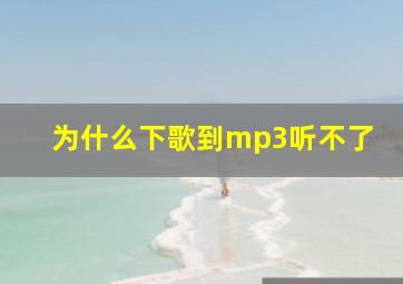 为什么下歌到mp3听不了