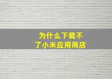 为什么下载不了小米应用商店