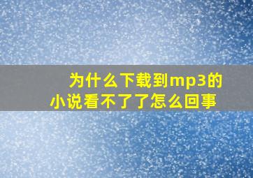 为什么下载到mp3的小说看不了了怎么回事