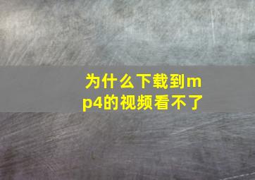 为什么下载到mp4的视频看不了