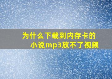 为什么下载到内存卡的小说mp3放不了视频