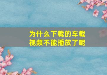 为什么下载的车载视频不能播放了呢