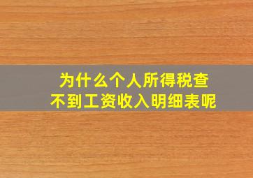 为什么个人所得税查不到工资收入明细表呢