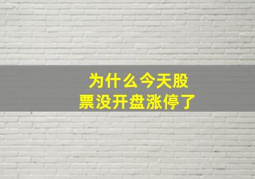 为什么今天股票没开盘涨停了