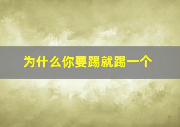 为什么你要踢就踢一个