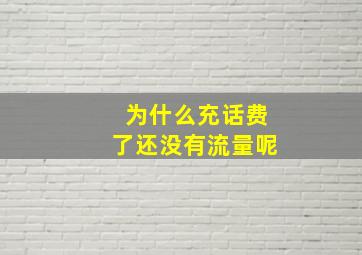 为什么充话费了还没有流量呢