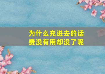 为什么充进去的话费没有用却没了呢