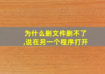 为什么删文件删不了,说在另一个程序打开