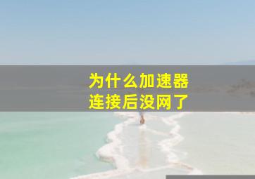 为什么加速器连接后没网了