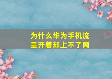 为什么华为手机流量开着却上不了网