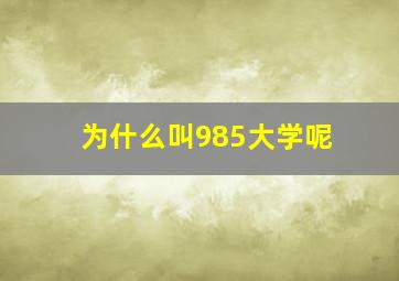 为什么叫985大学呢