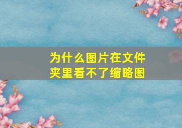 为什么图片在文件夹里看不了缩略图