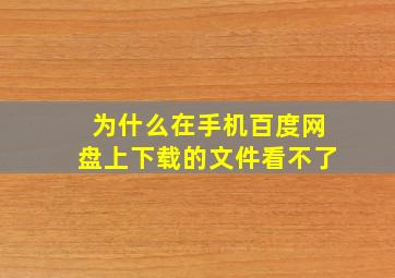 为什么在手机百度网盘上下载的文件看不了