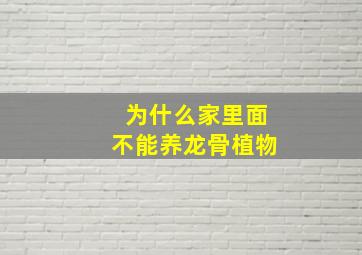 为什么家里面不能养龙骨植物