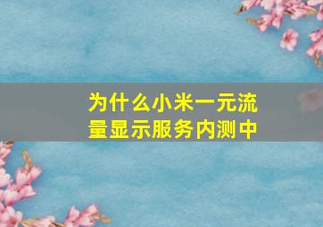 为什么小米一元流量显示服务内测中