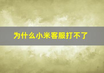 为什么小米客服打不了