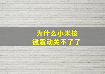 为什么小米按键震动关不了了