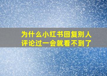 为什么小红书回复别人评论过一会就看不到了